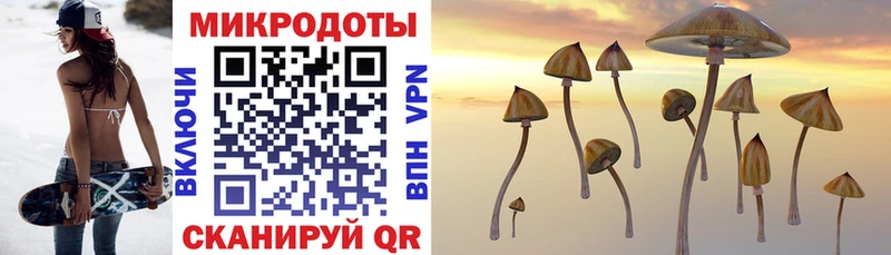 ссылка на мегу маркетплейс  Курган  Псилоцибиновые грибы MAGIC MUSHROOMS 