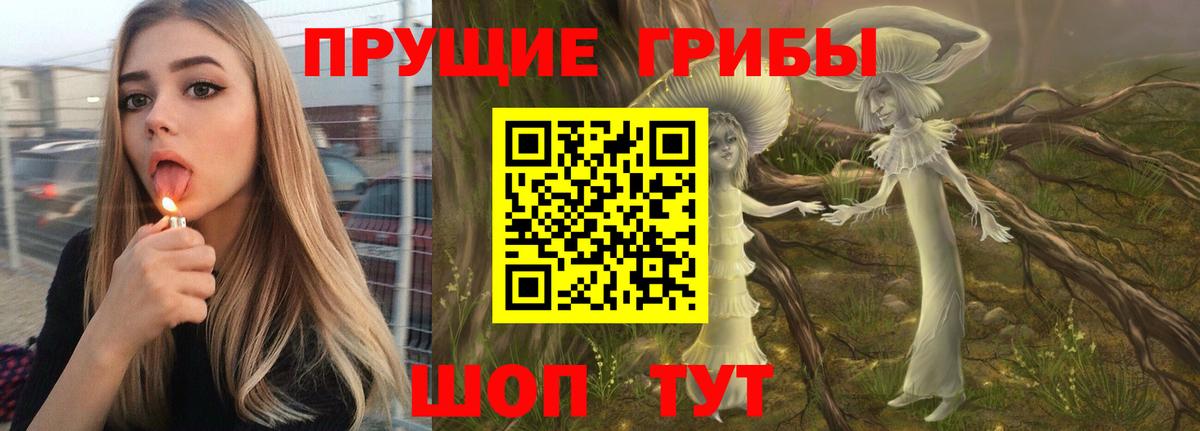 Курган  продажа наркотиков  Вход с VPN  Псилоцибиновые грибы мухоморы 