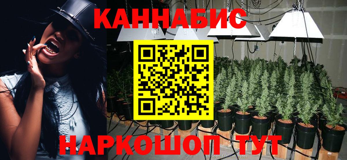 МАРИХУАНА ГИДРОПОН Курган